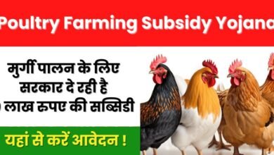 Poultry Farming Loan 2025